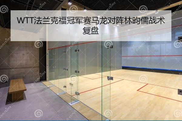 fa-lan-ke-fu-guan-jun-sai-ma-long-dui-zhen-lin-yun-ru-zhan-shu-fu-pan-2-119.jpg