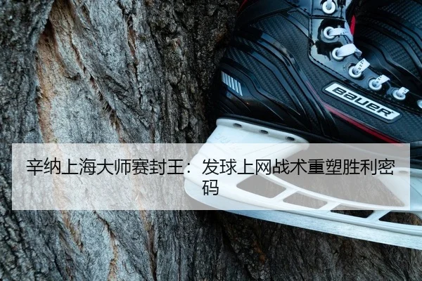 xin-na-shang-hai-da-shi-sai-feng-wang-fa-qiu-shang-wang-zhan-shu-zhong-su-sheng-li-mi-ma-2-632.jpg